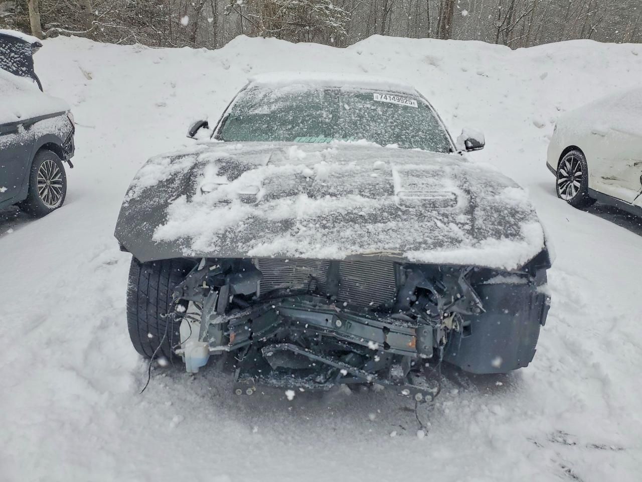 2019 Ford Mustang gt