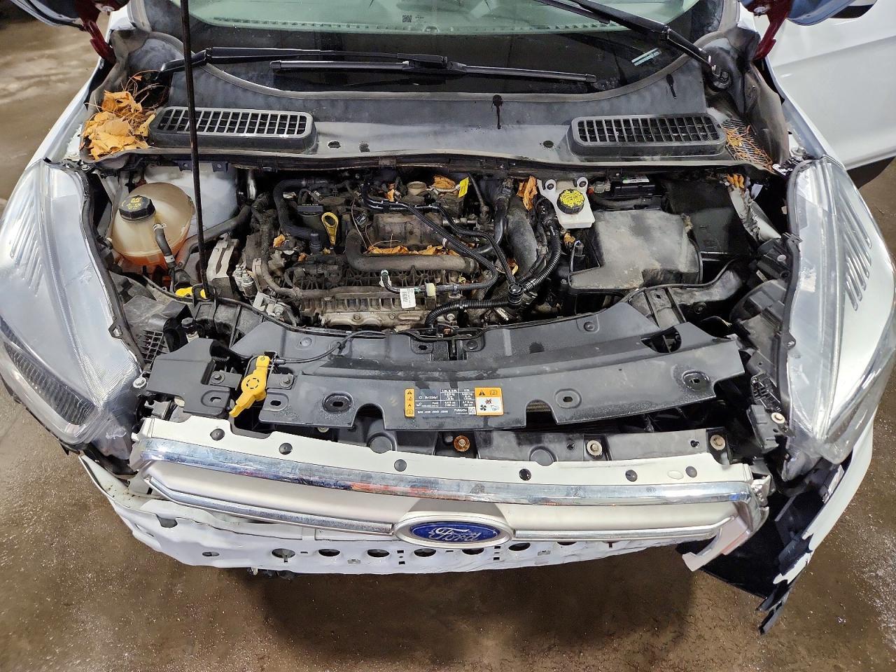2019 Ford Escape se