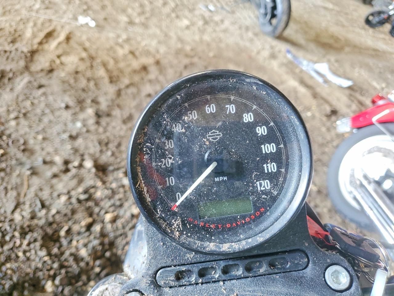 2021 Harley-Davidson XL883 N