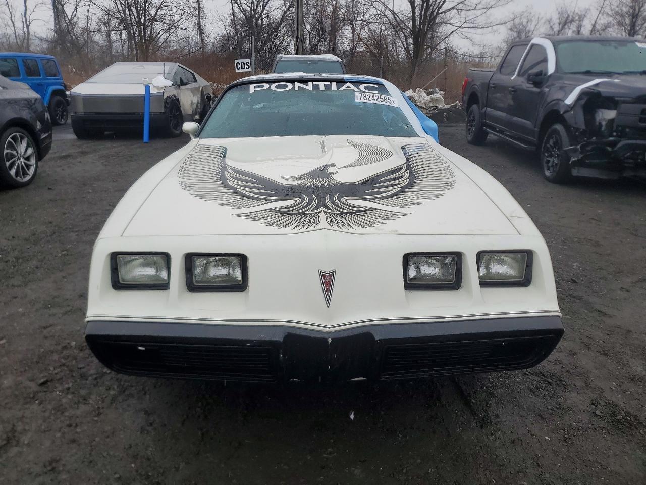 1981 Pontiac Firebird se