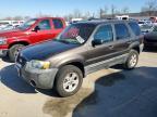 2007 Ford Escape xlt