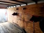 2010 Wells Cargo Enclosed Cargo Trailer