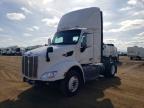 2019 Pntw 579-Semi Truck