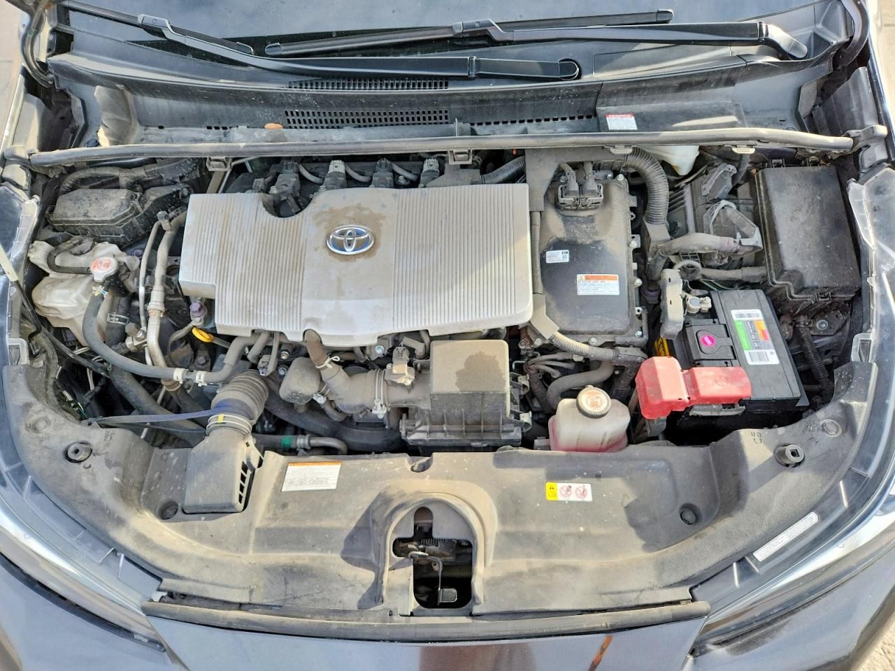 2022 Toyota Prius Night Shade