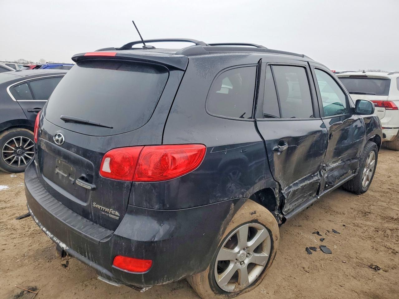 2009 Hyundai Santa fe se