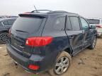 2009 Hyundai Santa fe se