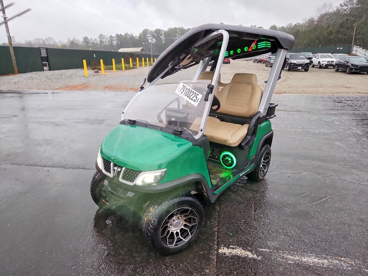 2025 Evolution Electric LSV