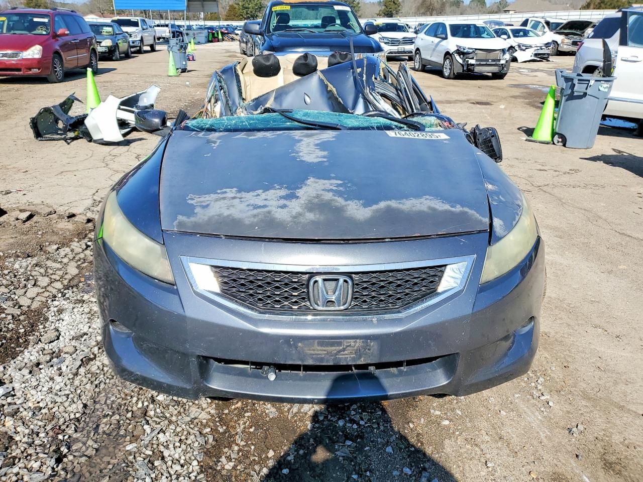 2009 Honda Accord exl