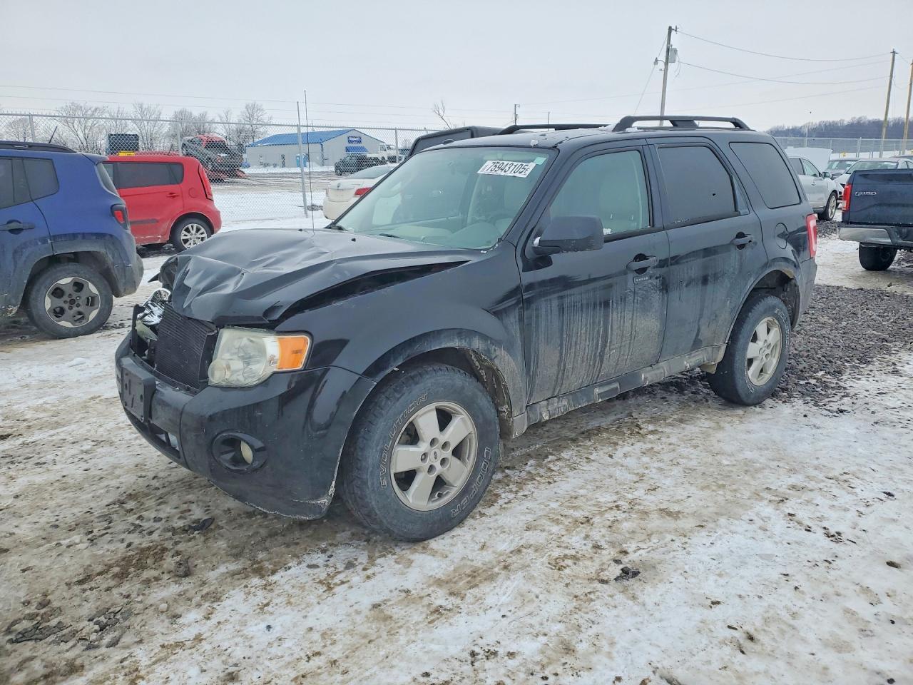 2010 Ford Escape xlt