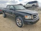 2010 Dodge Dakota SXT
