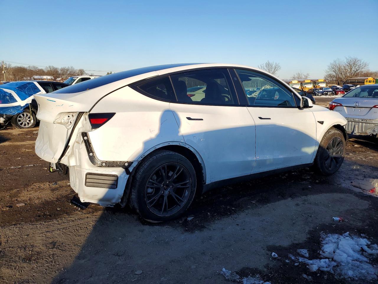 2024 Tesla Model y