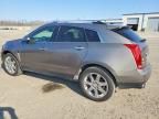 2011 Cadillac Srx Performance Collection