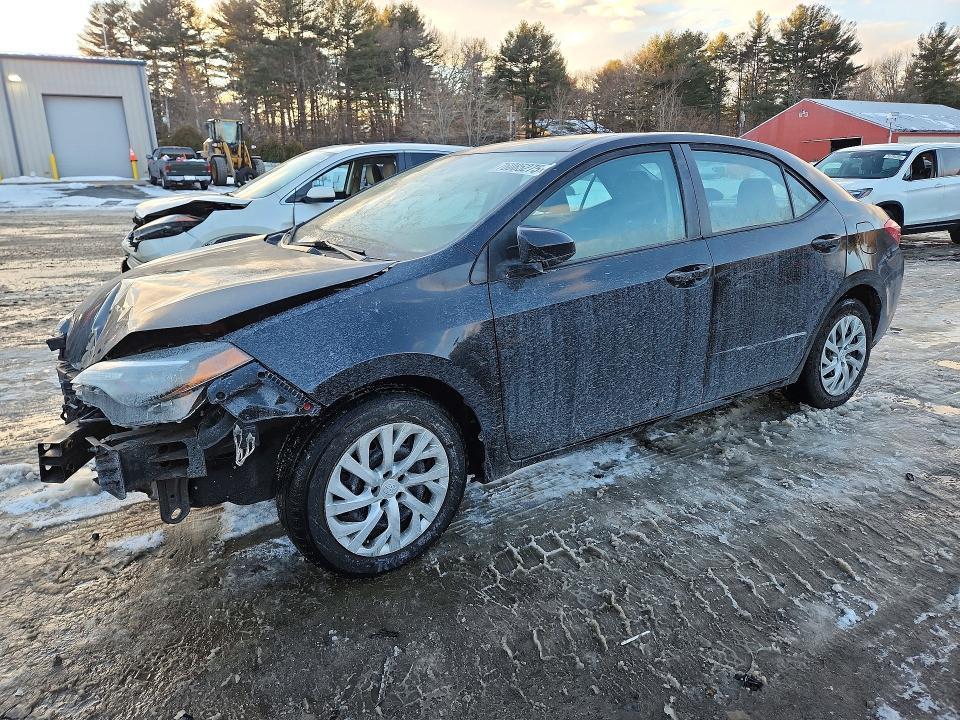 2019 Toyota Corolla l