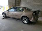 2000 Dodge Neon Base