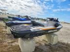 2019 Sea-Doo Fish PRO