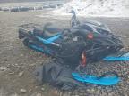 2026 Bombardier Snowmobile