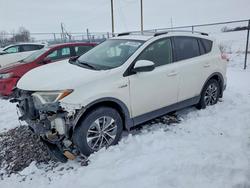 2017 Toyota Rav4 Hybrid xle for sale in Cicero, IN