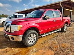 Ford Vehiculos salvage en venta: 2010 Ford F150 Supercrew