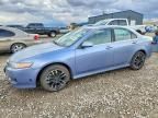 2006 Acura TSX