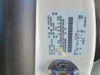 2025 Ford Escape st Line Select