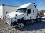 2017 Freightliner Cascadia 125 Semi Truck