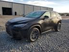 2025 Lexus Nx 250 Premium