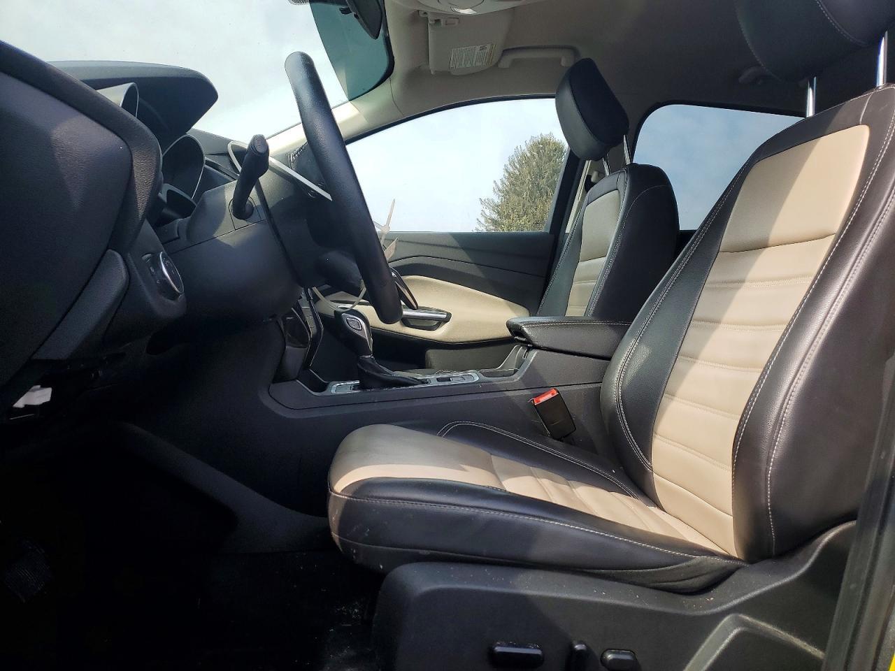 2019 Ford Escape sel