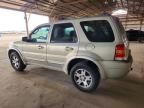2004 Ford Escape Limited