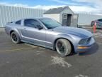 2006 Ford Mustang