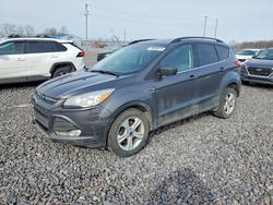 Ford salvage cars for sale: 2016 Ford Escape se