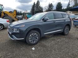 Hyundai salvage cars for sale: 2023 Hyundai Santa fe Hybrid Blue