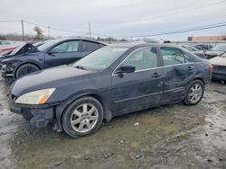 2005 Honda Accord ex for sale in Windsor, NJ