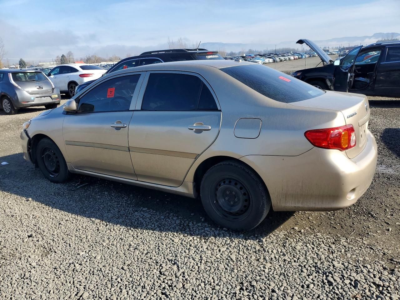 2010 Toyota Corolla Base