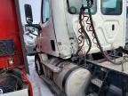 2019 Freigliner 2019 Freightliner Cascadia 126 Semi Truck