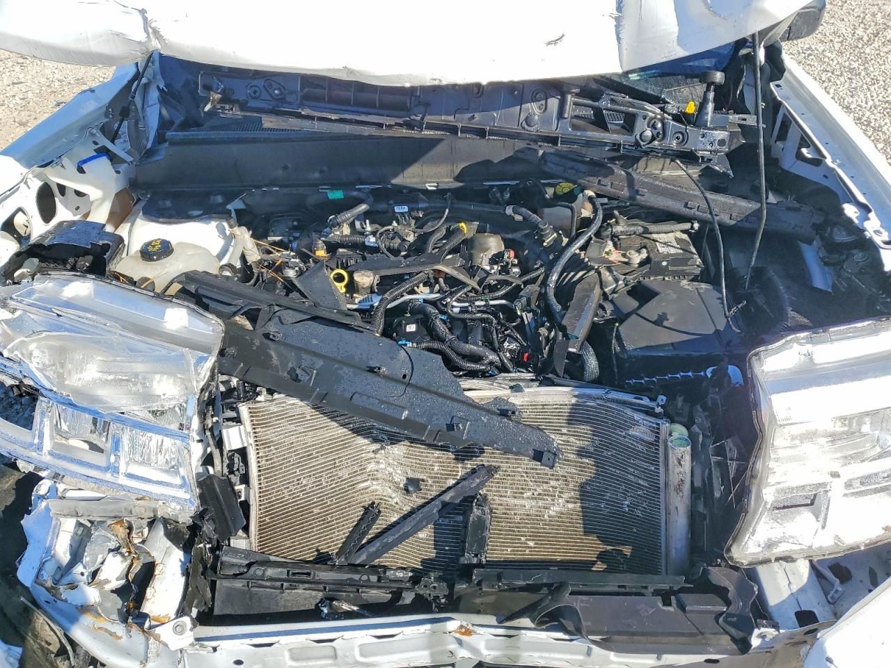 2024 Ford Maverick xl