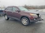2011 KIA Sorento Base