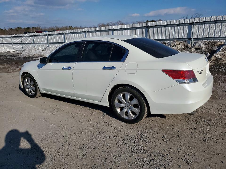2008 Honda Accord exl