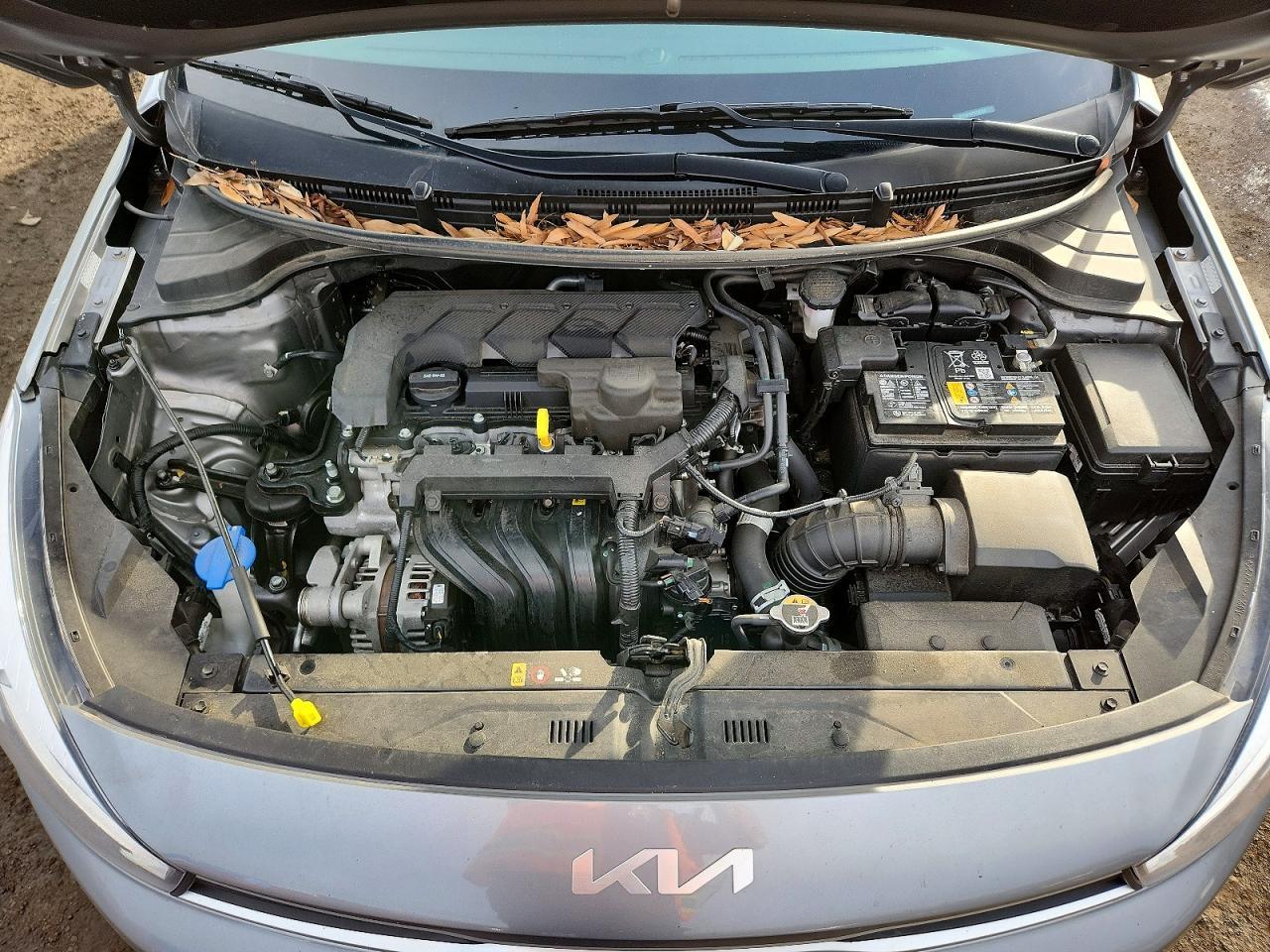 2023 KIA Rio