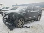 2018 Cadillac Escalade Luxury