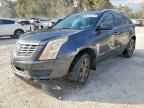 2013 Cadillac Srx Luxury Collection