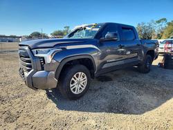 2025 Toyota Tundra SR5 en venta en Thonotosassa, FL