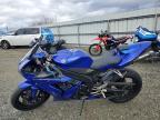 2005 Yamaha YZFR1 C