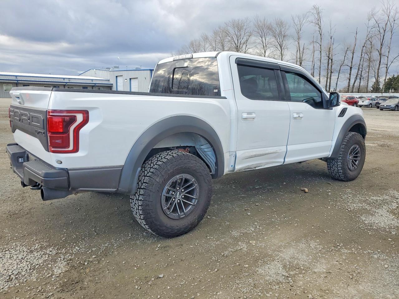 2019 Ford F150 Raptor