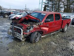Salvage trucks for sale at Windsor, NJ auction: 2008 Toyota Tacoma Double Cab Long BED