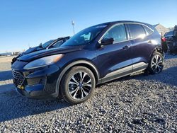 2021 Ford Escape se for sale in Brighton, CO