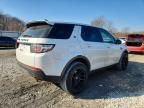 2019 Land Rover Discovery Sport se