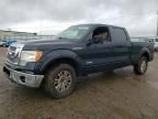 2012 Ford F150