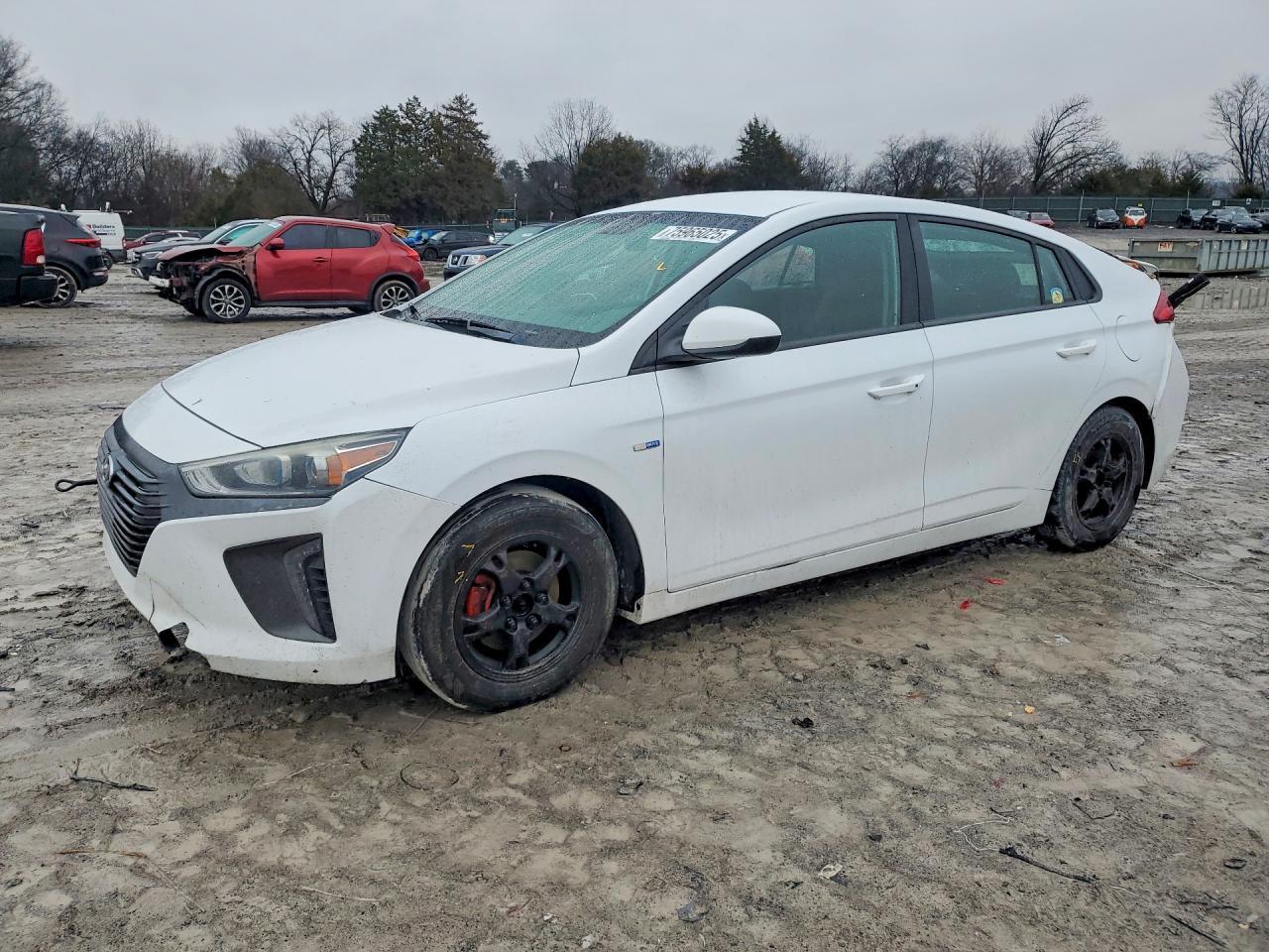 2019 Hyundai Ioniq Blue