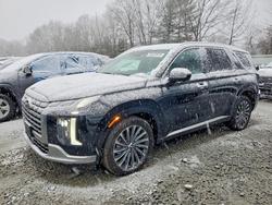 Hyundai salvage cars for sale: 2024 Hyundai Palisade Calligraphy