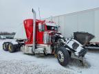 2018 Peterbilt 389 Semi Truck